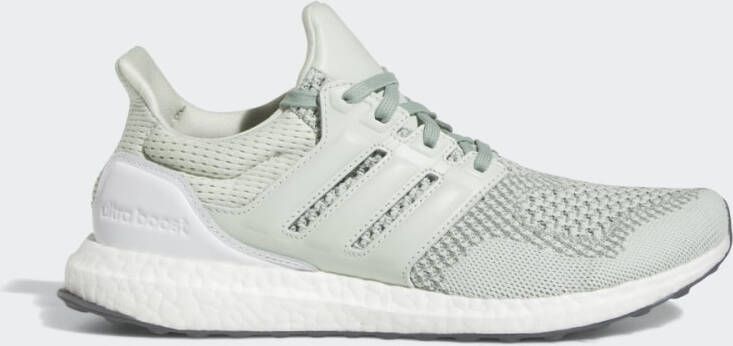 Adidas Ultraboost 1.0 Heren Schoenen