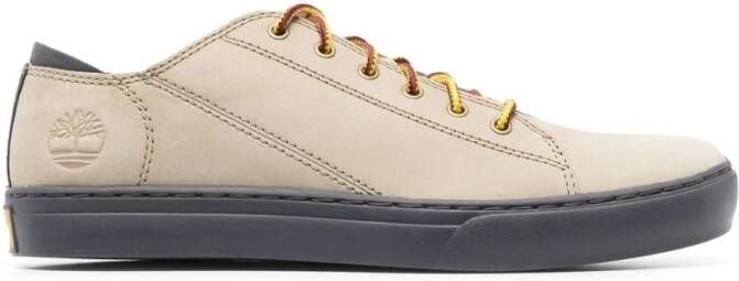 Timberland Sneakers Beige , Beige, Heren