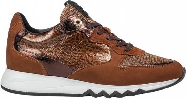 Floris van bommel Nineti 11.01 Cognac G Wijdte Lage sneakers