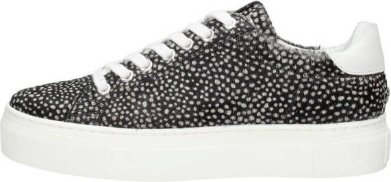 Maruti Ted Sneakers , Zwart, Dames