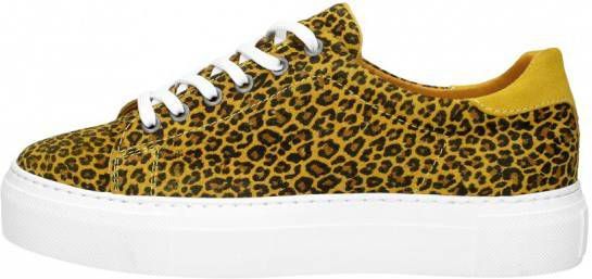 Ps. Poelman Dames Veterschoenen