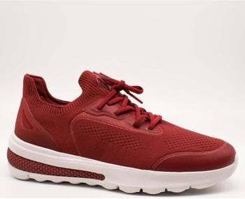 Geox Lage Sneakers