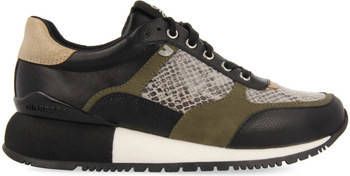 Gioseppo Sneakers F