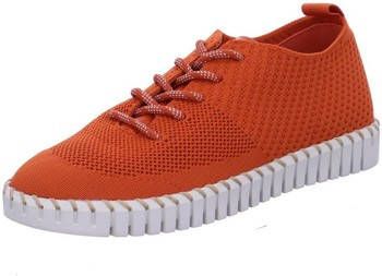 la strada Nette Schoenen