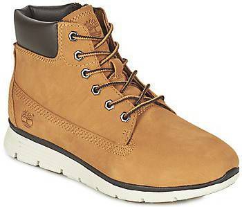 Timberland Sneakers Killington , Bruin, Heren