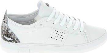 TBS Lage Sneakers Pandorra Blanc