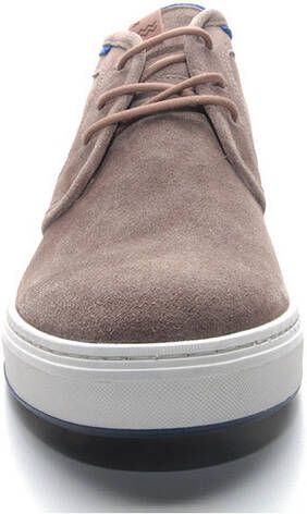 Floris van Bommel 10466