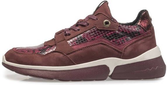 Floris Van Bommel Floris van Bommel sport sportieve lage veterschoen