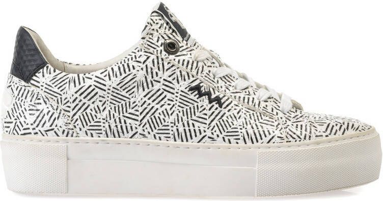 Floris van Bommel 85333