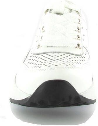 Paul Green 4761