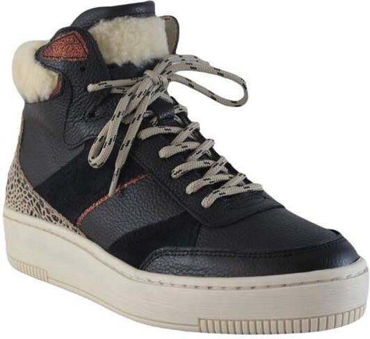 PS Poelman P7153poe5