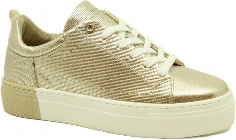 Roberto d'Angelo Hart gold