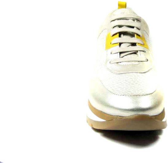 Roberto d'Angelo Moto