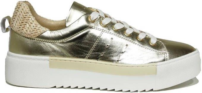 Roberto d'Angelo Rush