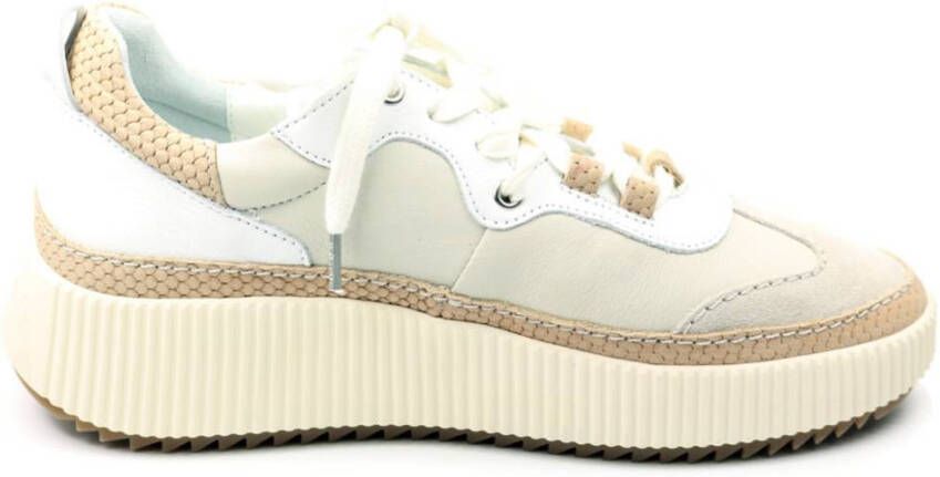 Shabbies 101020362 sneaker